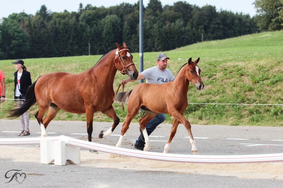 Romantique & Malaisie