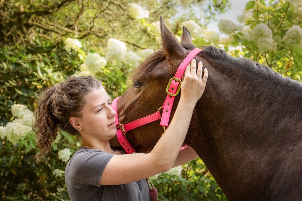 Julia Heim Pferdeosteopathie