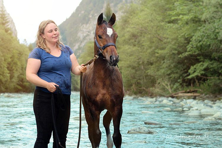 Unsere Nachzucht - Freiberger Fohlen Joy von Quyara und Hayden, Züchter: Tanja Kernen