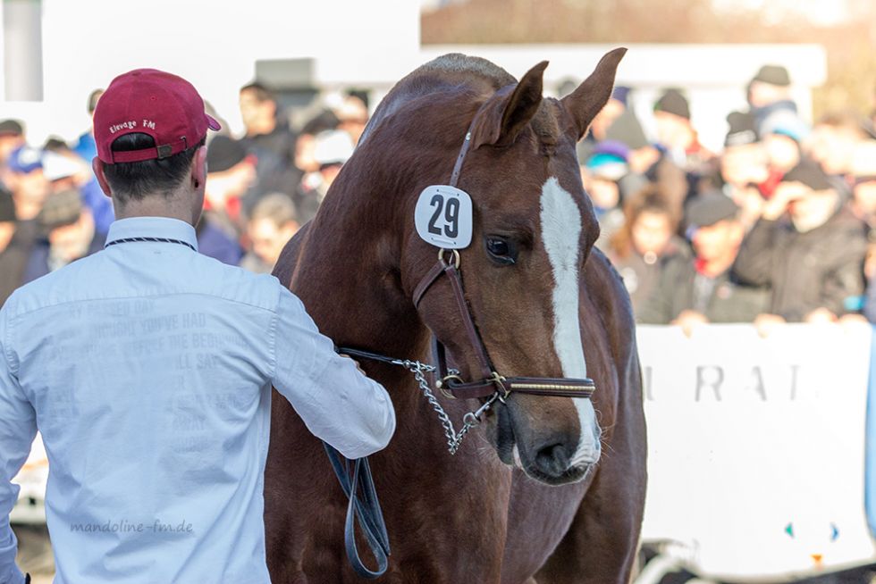 Hier geht es zu Cash!
